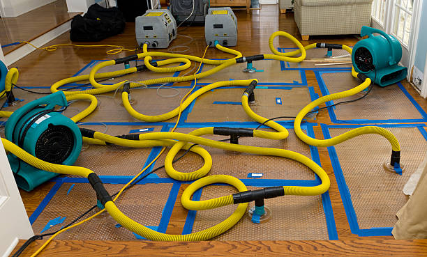 Professional Crawl Space Water Removal technician working in North Jackson, OH